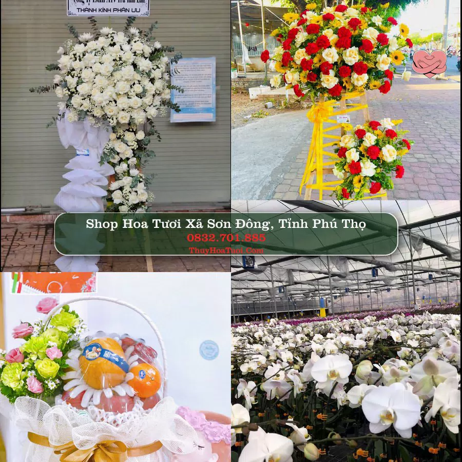 Shop Hoa Tươi Xã Sơn Đông - Tỉnh Phú Thọ