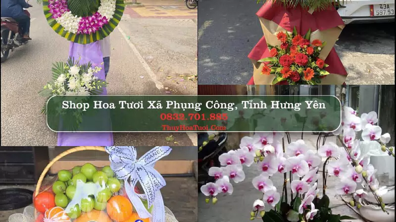 Shop Hoa Tươi Xã Phụng Công - Tỉnh Hưng Yên