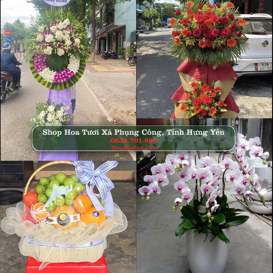 Shop Hoa Tươi Xã Phụng Công - Tỉnh Hưng Yên