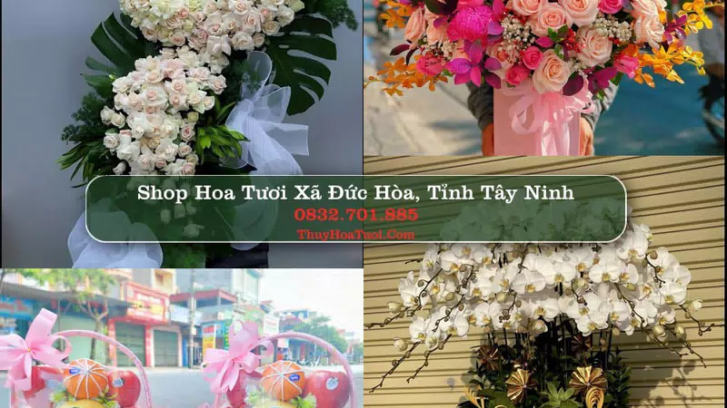 Shop Hoa Tươi Xã Đức Hòa - Tỉnh Tây Ninh