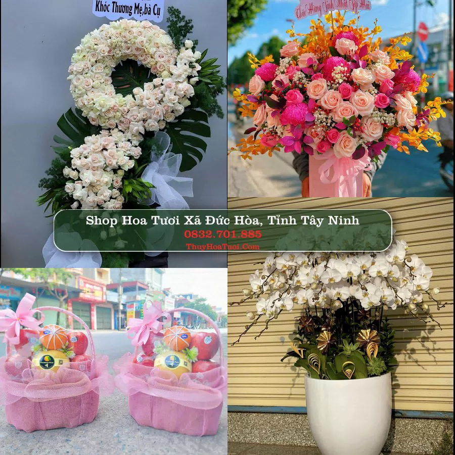 Shop Hoa Tươi Xã Đức Hòa - Tỉnh Tây Ninh