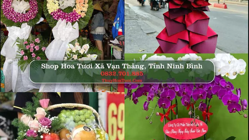 Shop Hoa Tươi Xã Vạn Thắng - Tỉnh Ninh Bình