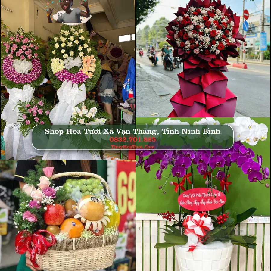 Shop Hoa Tươi Xã Vạn Thắng - Tỉnh Ninh Bình