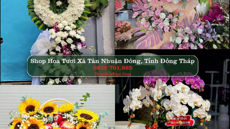 Shop Hoa Tươi Xã Tân Nhuận Đông - Tỉnh Đồng Tháp