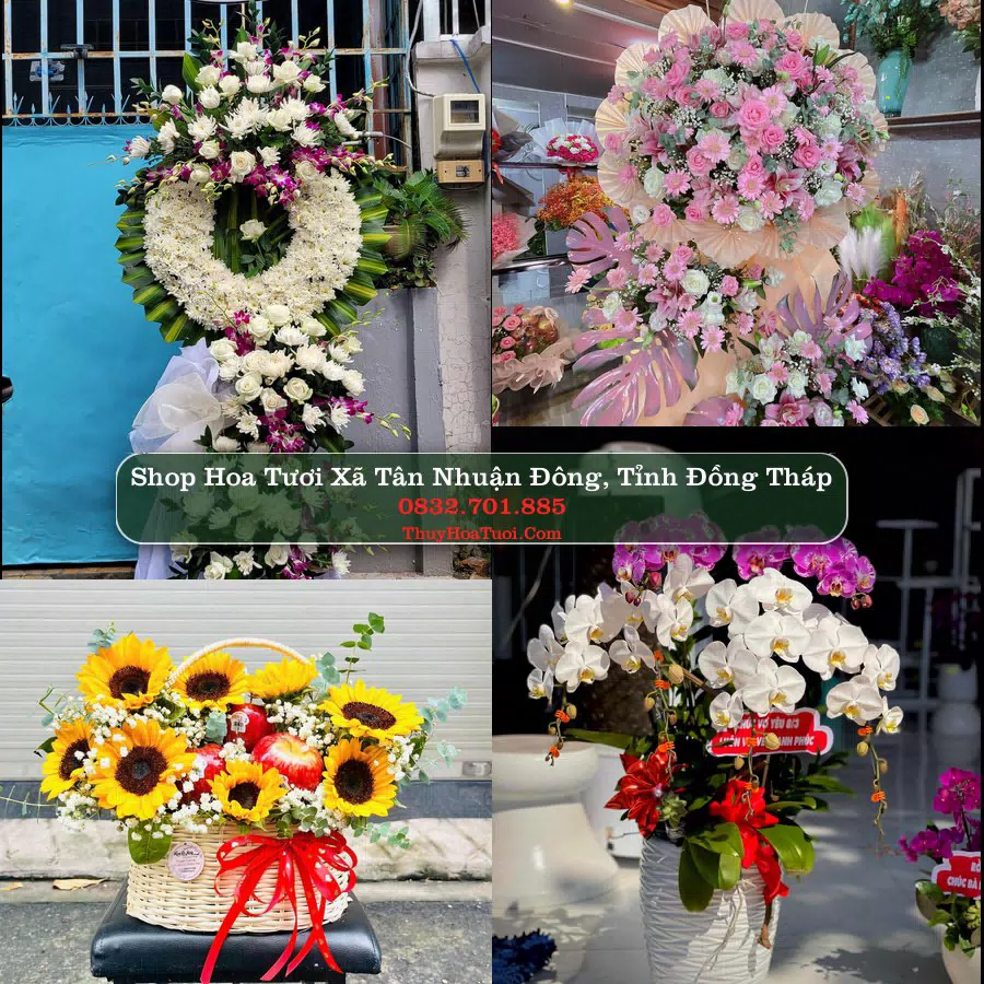 Shop Hoa Tươi Xã Tân Nhuận Đông - Tỉnh Đồng Tháp