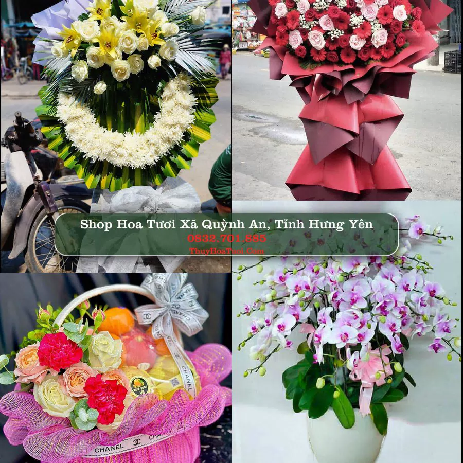 Shop Hoa Tươi Xã Quỳnh An - Tỉnh Hưng Yên