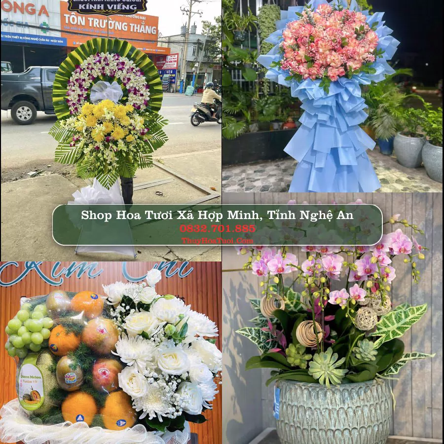 Shop Hoa Tươi Xã Hợp Minh - Tỉnh Nghệ An