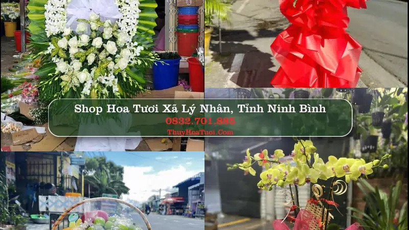 Shop Hoa Tươi Xã Lý Nhân - Tỉnh Ninh Bình
