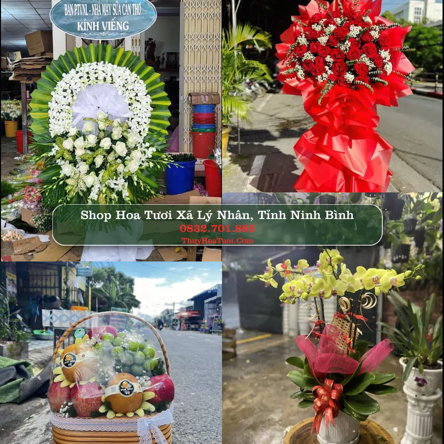 Shop Hoa Tươi Xã Lý Nhân - Tỉnh Ninh Bình
