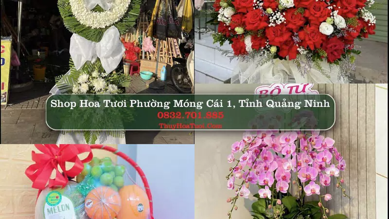 Shop Hoa Tươi Phường Móng Cái 1 - Tỉnh Quảng Ninh