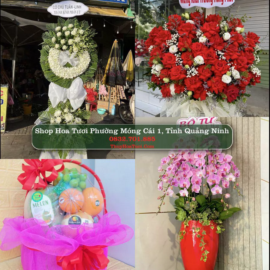 Shop Hoa Tươi Phường Móng Cái 1 - Tỉnh Quảng Ninh