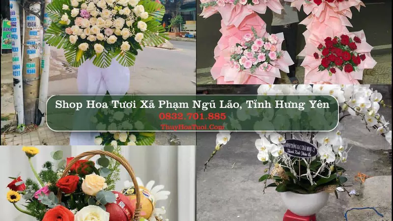 Shop Hoa Tươi Xã Phạm Ngũ Lão - Tỉnh Hưng Yên