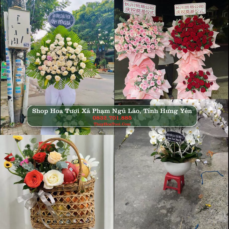 Shop Hoa Tươi Xã Phạm Ngũ Lão - Tỉnh Hưng Yên