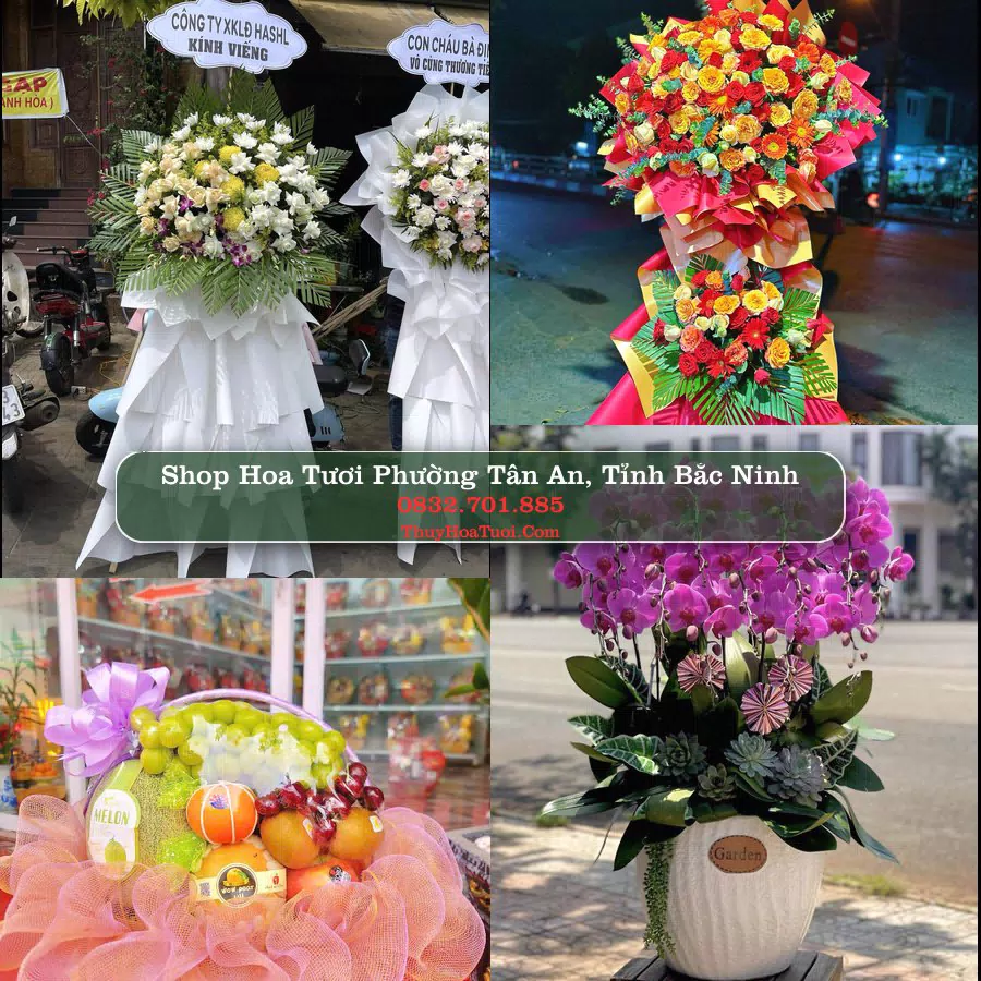Shop Hoa Tươi Phường Tân An - Tỉnh Bắc Ninh
