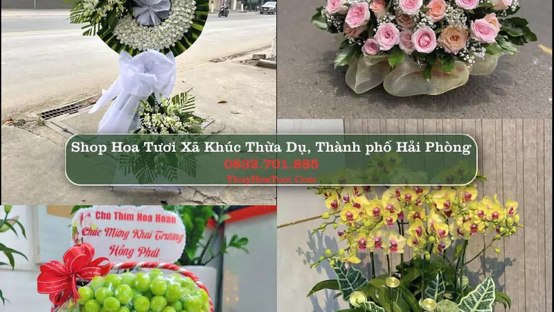 Shop Hoa Tươi Xã Khúc Thừa Dụ - Thành phố Hải Phòng