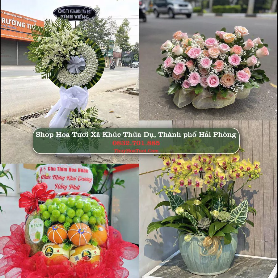 Shop Hoa Tươi Xã Khúc Thừa Dụ - Thành phố Hải Phòng