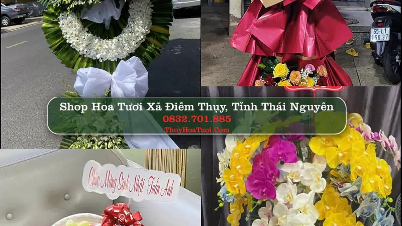 Shop Hoa Tươi Xã Điềm Thụy - Tỉnh Thái Nguyên