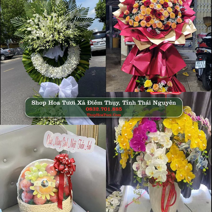 Shop Hoa Tươi Xã Điềm Thụy - Tỉnh Thái Nguyên
