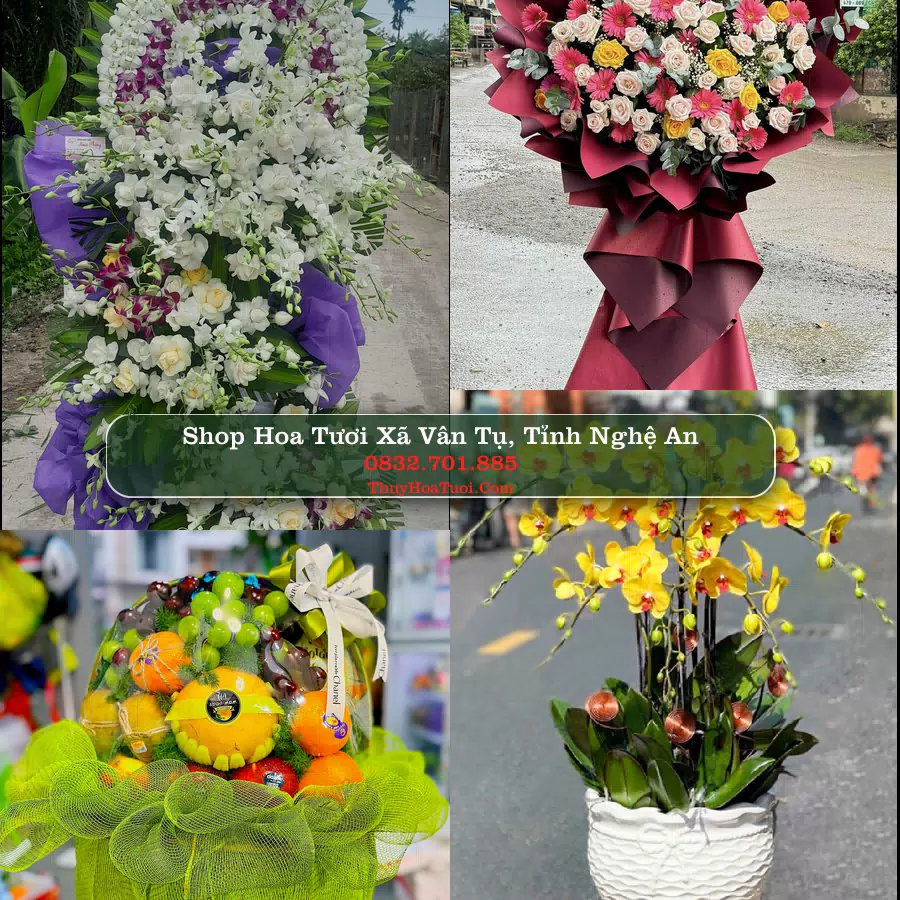 Shop Hoa Tươi Xã Vân Tụ - Tỉnh Nghệ An