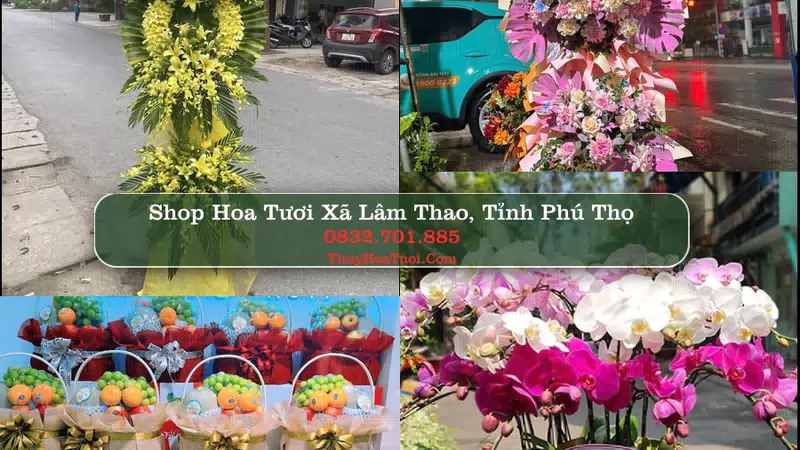 Shop Hoa Tươi Xã Lâm Thao - Tỉnh Phú Thọ
