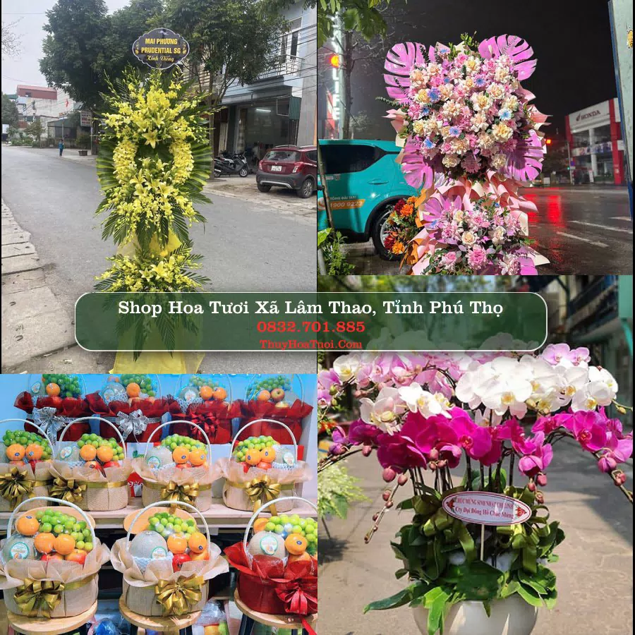 Shop Hoa Tươi Xã Lâm Thao - Tỉnh Phú Thọ