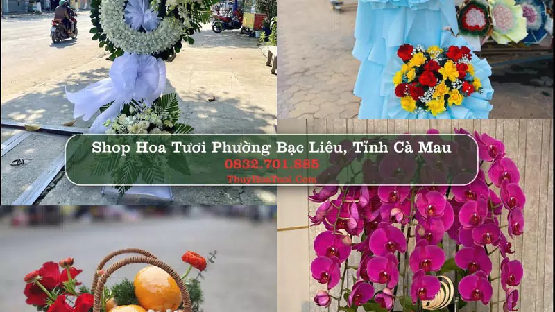 Shop Hoa Tươi Phường Bạc Liêu - Tỉnh Cà Mau
