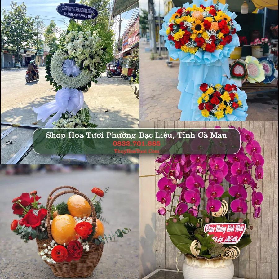 Shop Hoa Tươi Phường Bạc Liêu - Tỉnh Cà Mau