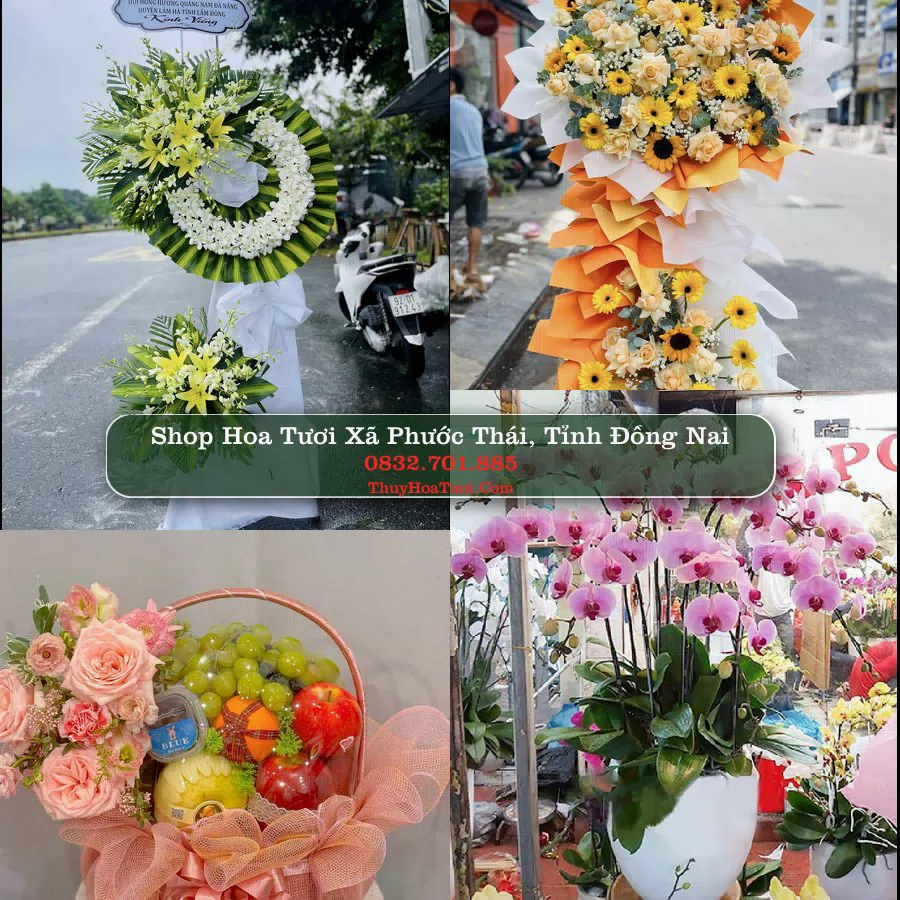 Shop Hoa Tươi Xã Phước Thái - Tỉnh Đồng Nai
