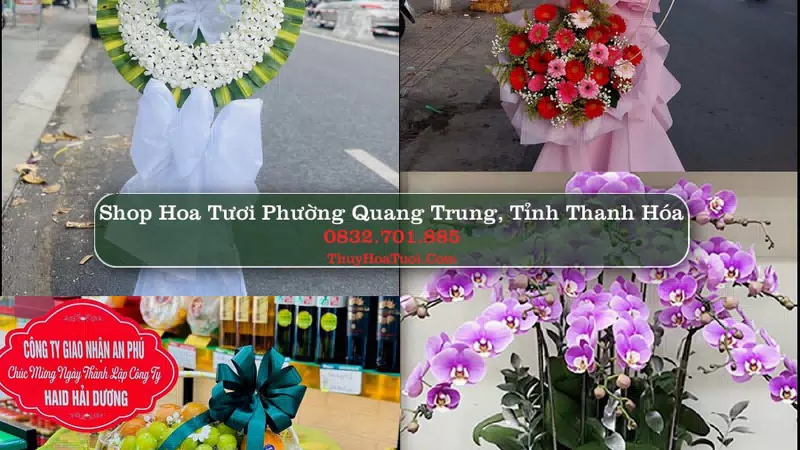 Shop Hoa Tươi Phường Quang Trung - Tỉnh Thanh Hóa