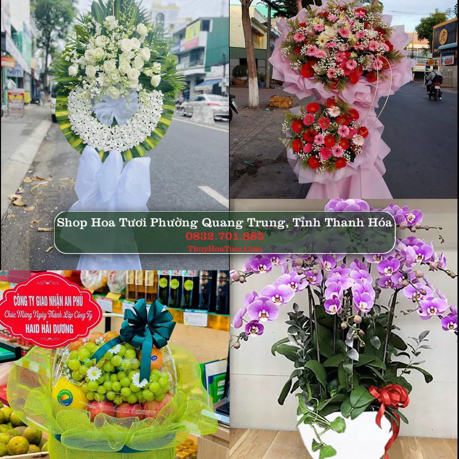 Shop Hoa Tươi Phường Quang Trung - Tỉnh Thanh Hóa