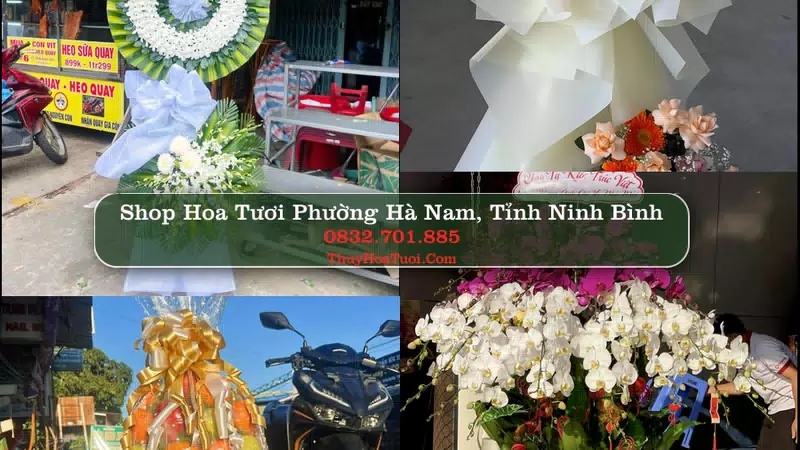 Shop Hoa Tươi Phường Hà Nam - Tỉnh Ninh Bình