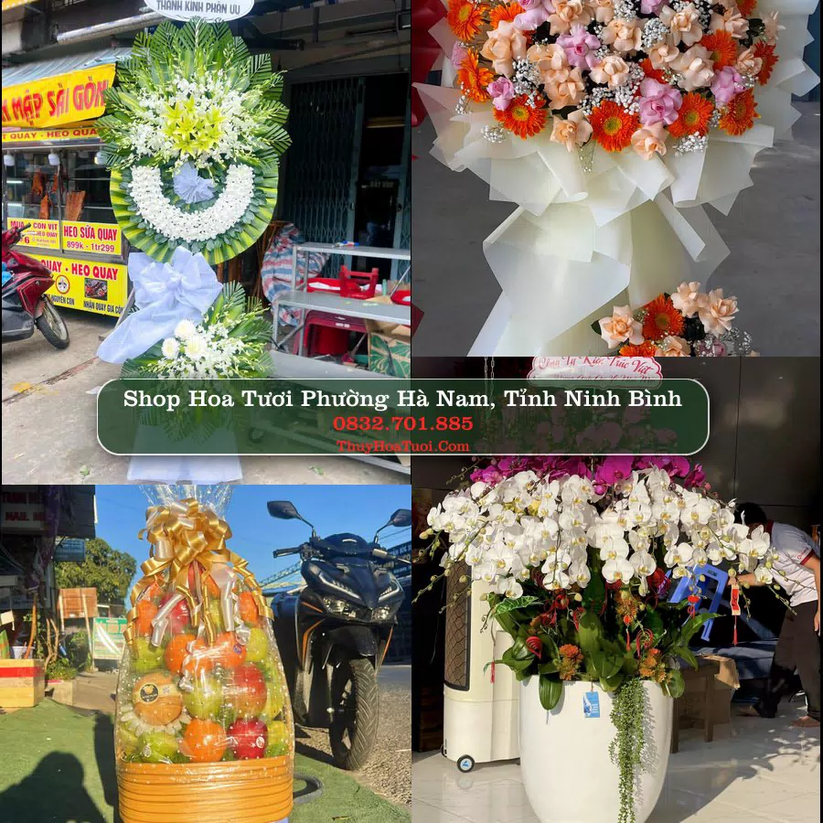 Shop Hoa Tươi Phường Hà Nam - Tỉnh Ninh Bình