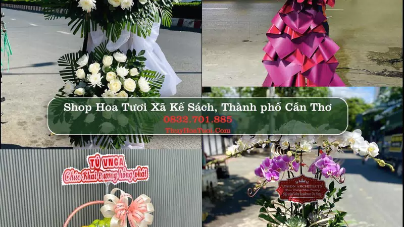 Shop Hoa Tươi Xã Kế Sách - Thành phố Cần Thơ