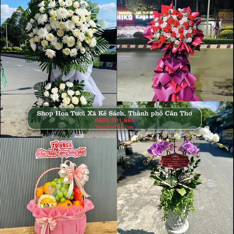 Shop Hoa Tươi Xã Kế Sách - Thành phố Cần Thơ