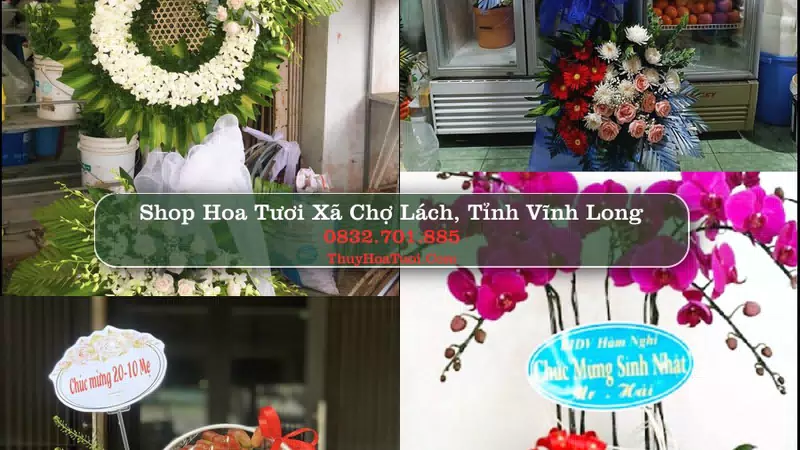 Shop Hoa Tươi Xã Chợ Lách - Tỉnh Vĩnh Long