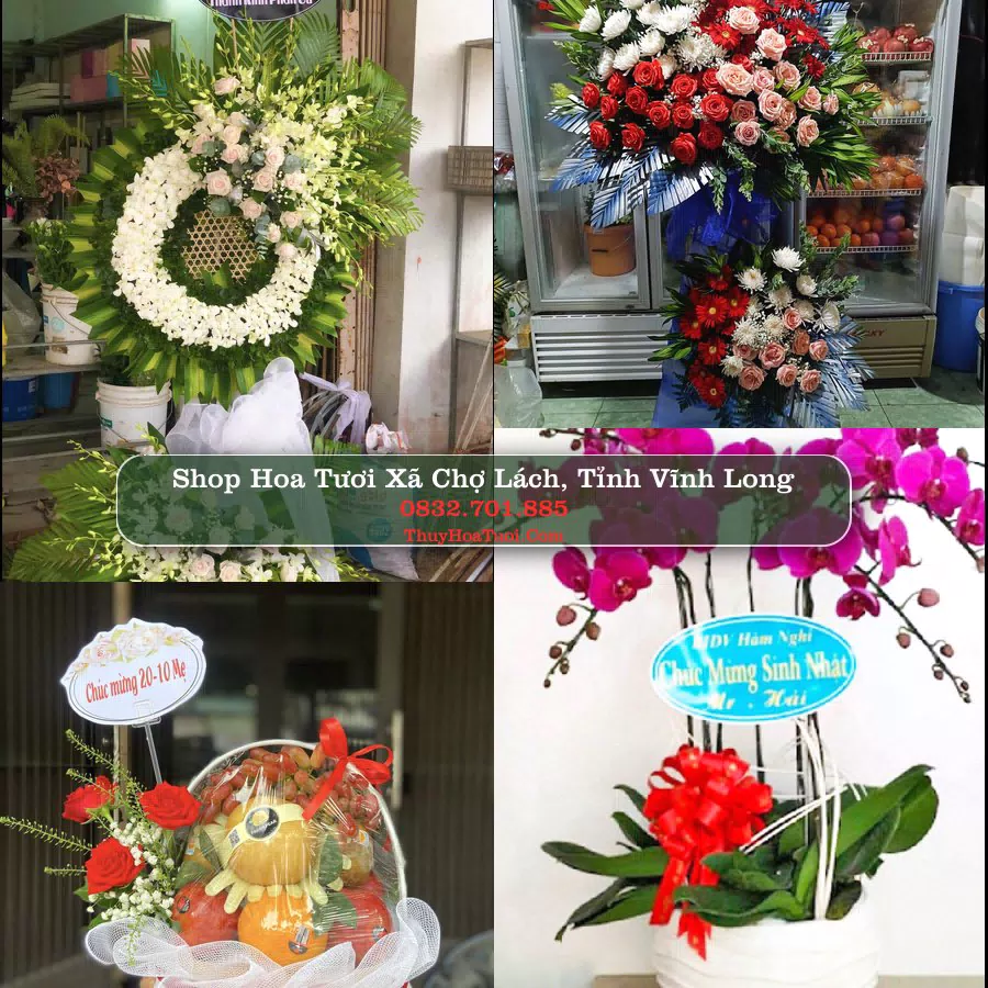 Shop Hoa Tươi Xã Chợ Lách - Tỉnh Vĩnh Long