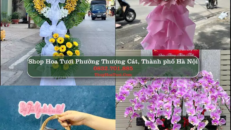 Shop Hoa Tươi Phường Thượng Cát - Thành phố Hà Nội