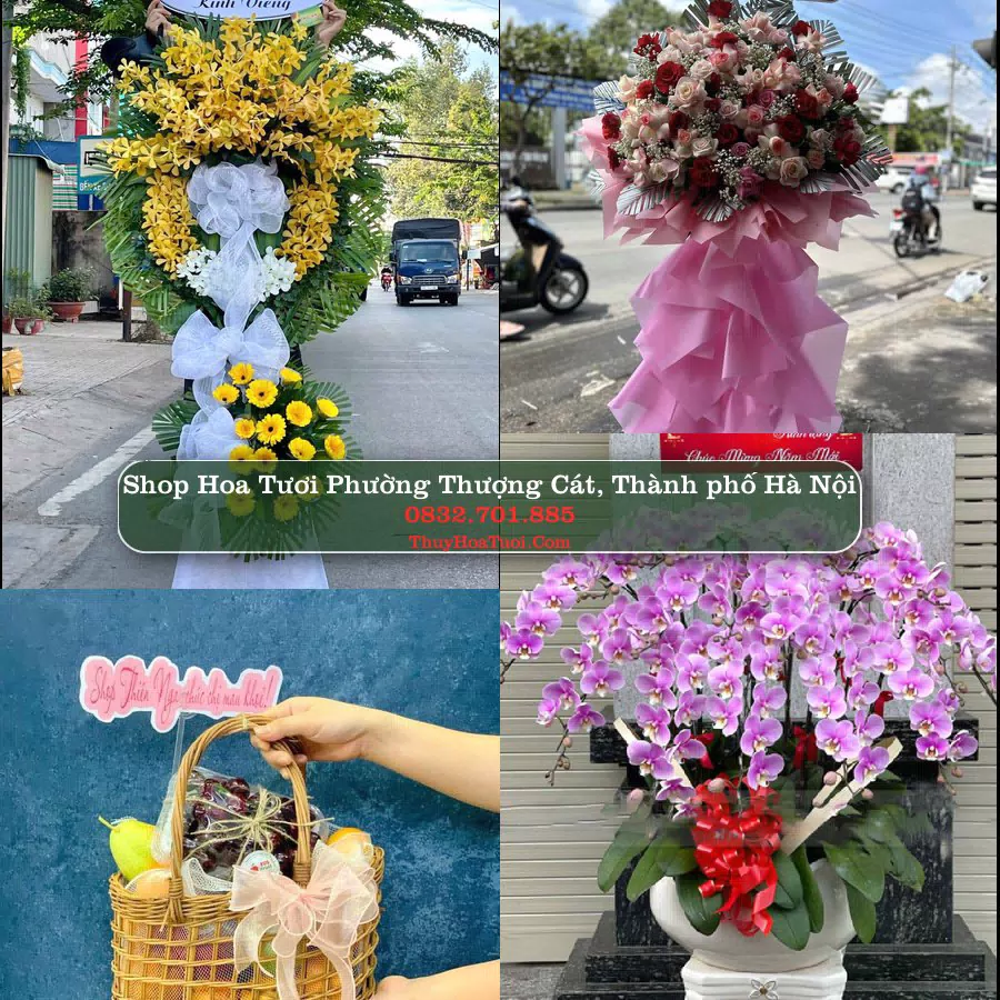 Shop Hoa Tươi Phường Thượng Cát - Thành phố Hà Nội