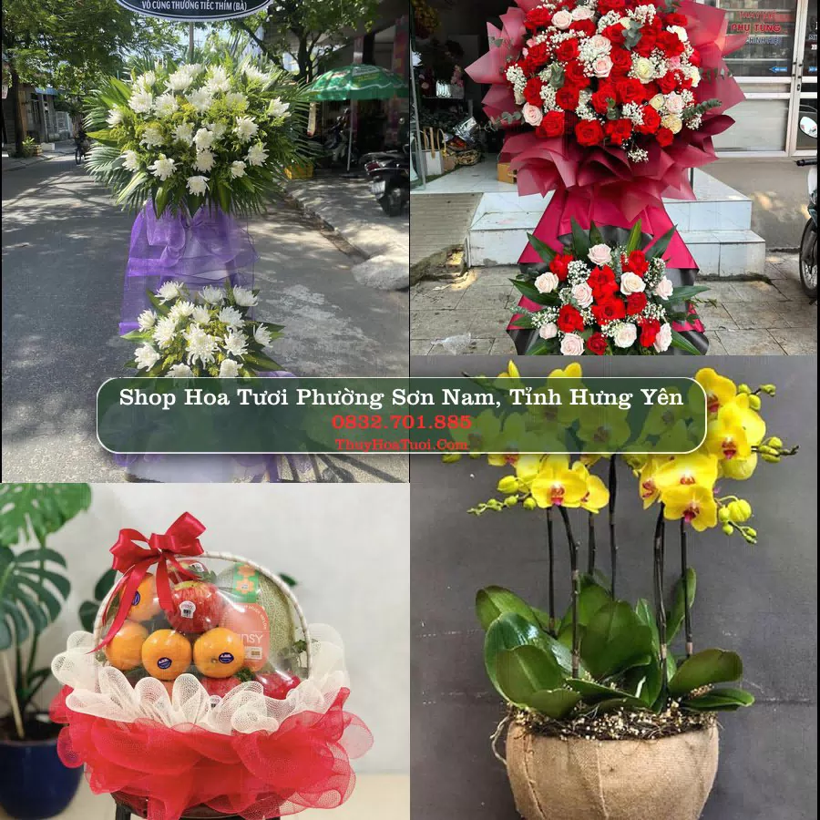 Shop Hoa Tươi Phường Sơn Nam - Tỉnh Hưng Yên
