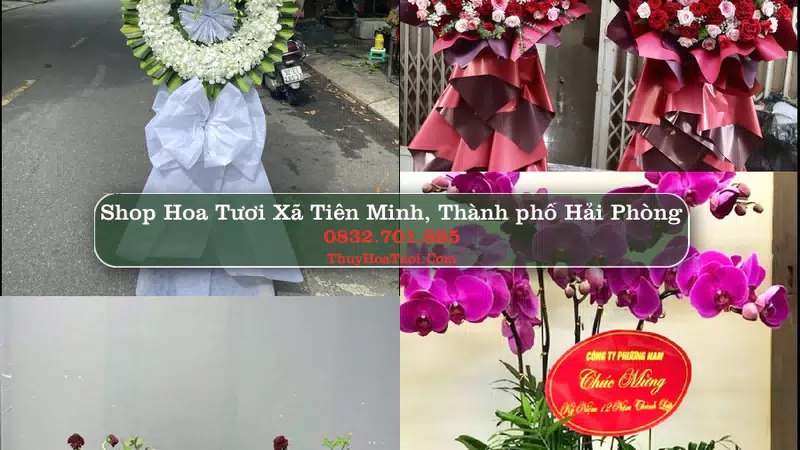 Shop Hoa Tươi Xã Tiên Minh - Thành phố Hải Phòng