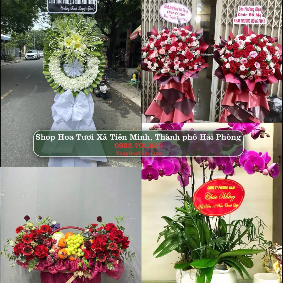 Shop Hoa Tươi Xã Tiên Minh - Thành phố Hải Phòng