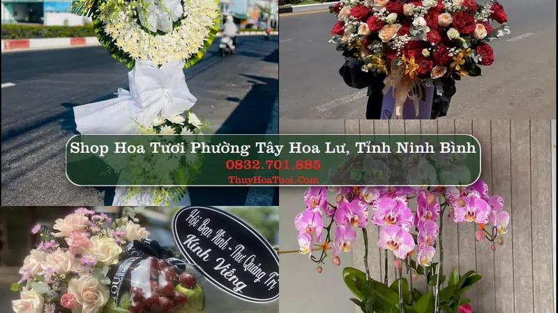 Shop Hoa Tươi Phường Tây Hoa Lư - Tỉnh Ninh Bình