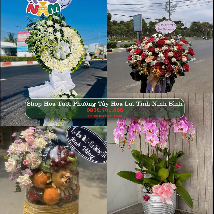 Shop Hoa Tươi Phường Tây Hoa Lư - Tỉnh Ninh Bình