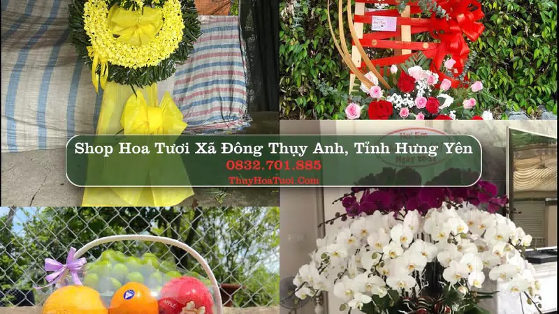 Shop Hoa Tươi Xã Đông Thụy Anh - Tỉnh Hưng Yên