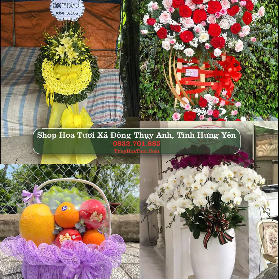 Shop Hoa Tươi Xã Đông Thụy Anh - Tỉnh Hưng Yên