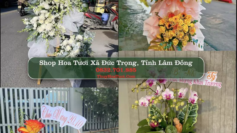 Shop Hoa Tươi Xã Đức Trọng - Tỉnh Lâm Đồng