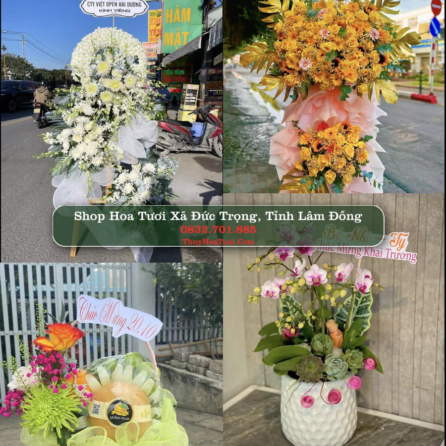 Shop Hoa Tươi Xã Đức Trọng - Tỉnh Lâm Đồng