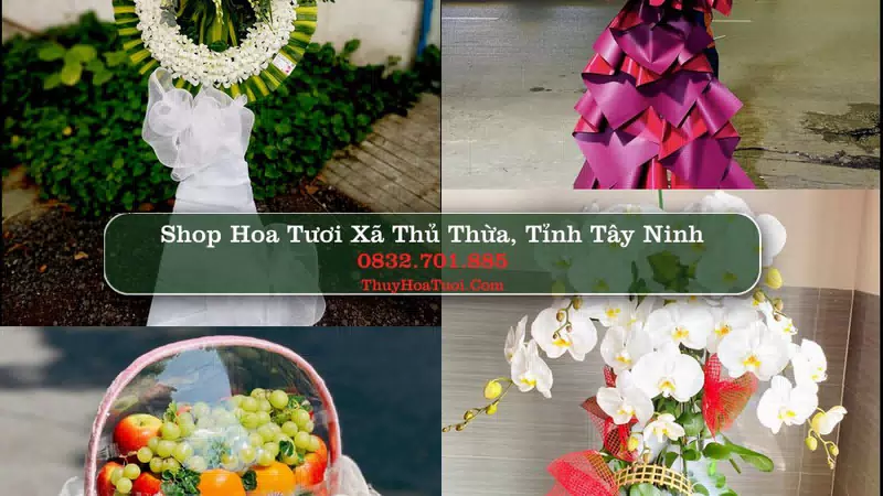 Shop Hoa Tươi Xã Thủ Thừa - Tỉnh Tây Ninh