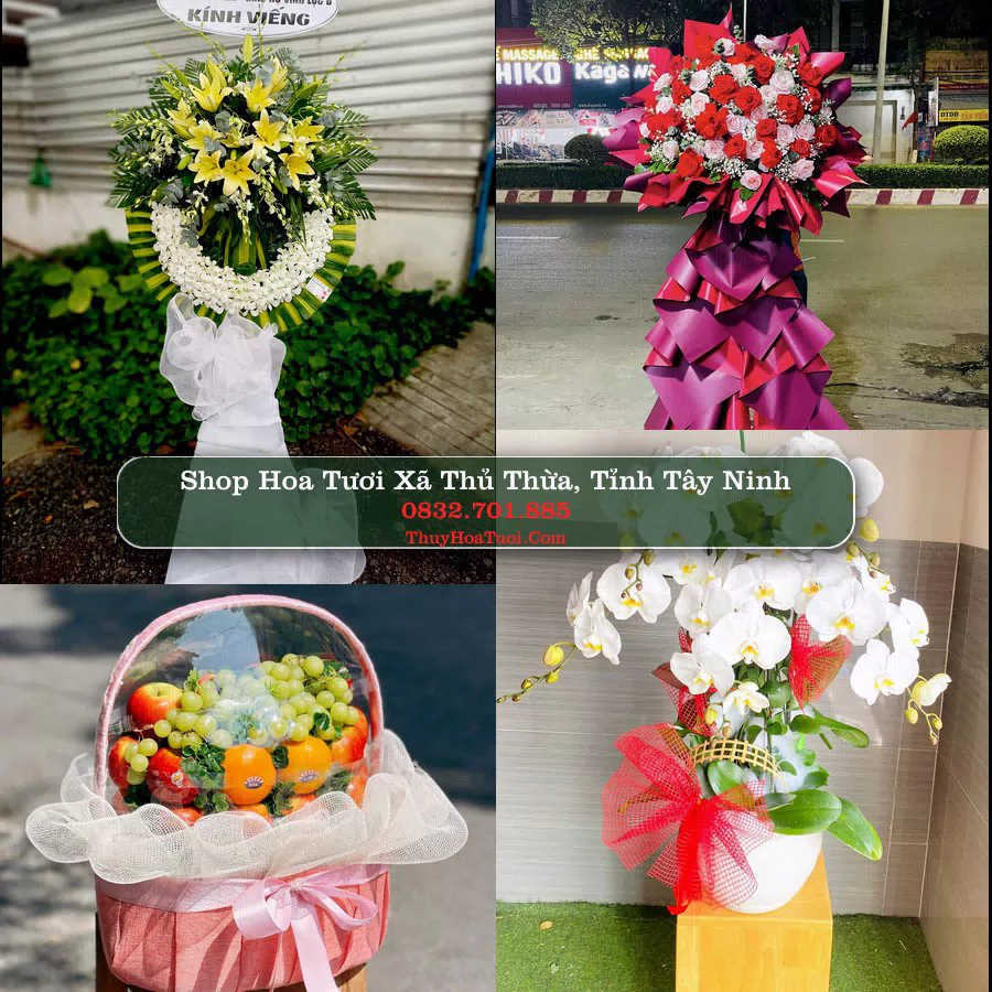 Shop Hoa Tươi Xã Thủ Thừa - Tỉnh Tây Ninh