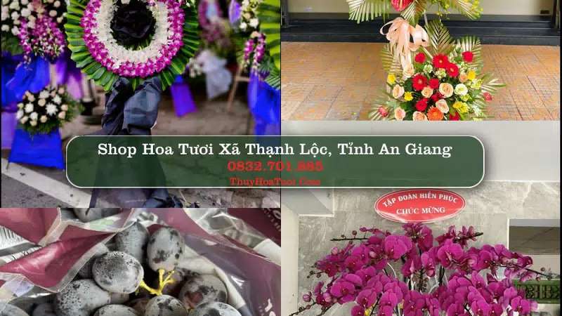 Shop Hoa Tươi Xã Thạnh Lộc - Tỉnh An Giang